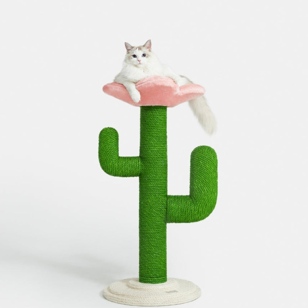 Blooming Cactus Cat Tree