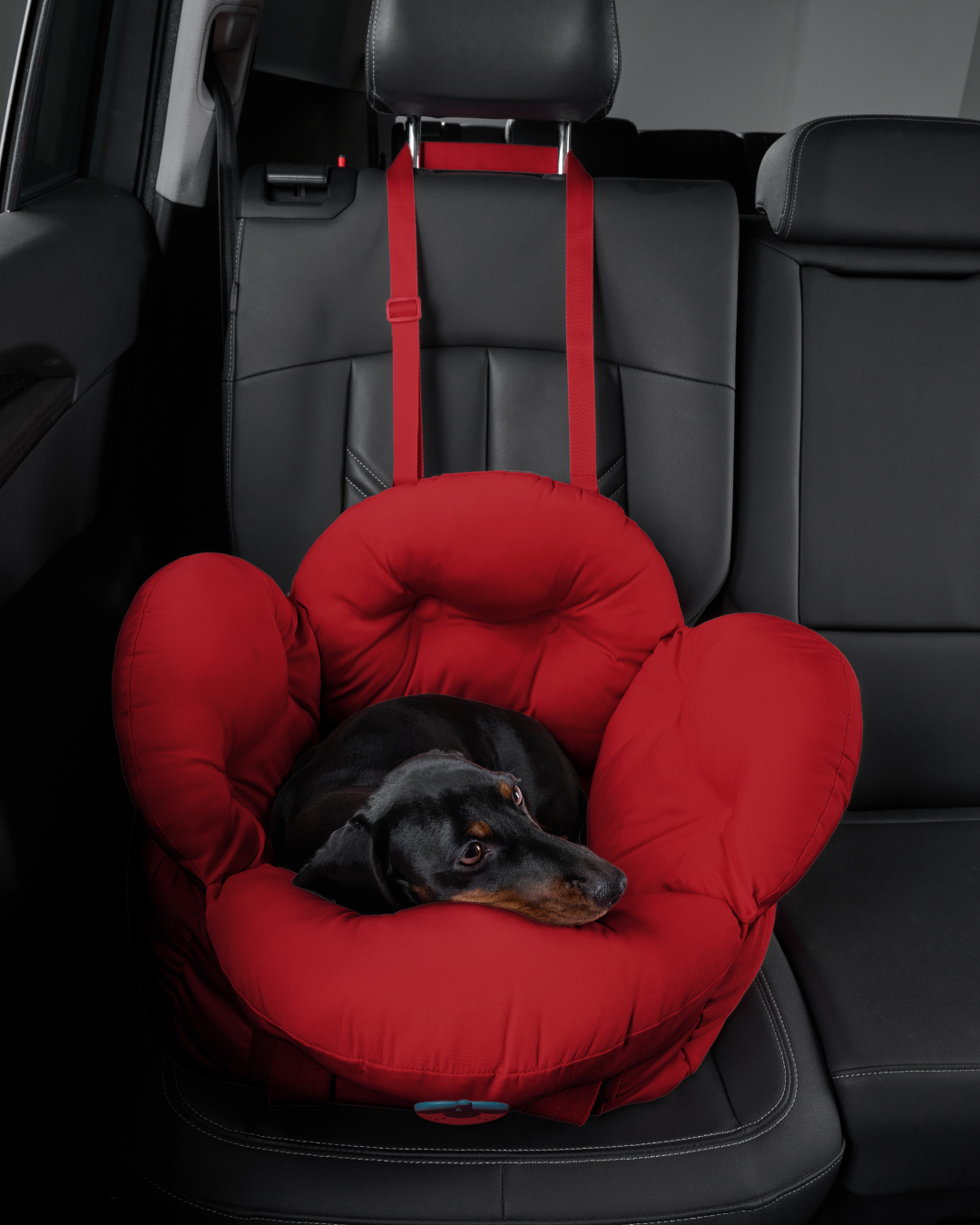 Strawberry Car Seat Pet Carrier