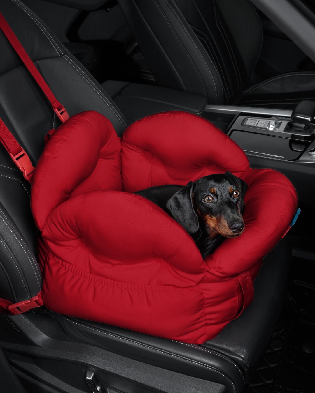Strawberry Car Seat Pet Carrier
