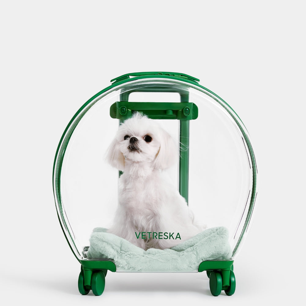 Bubble Pet Carrier (Green & Transparent)