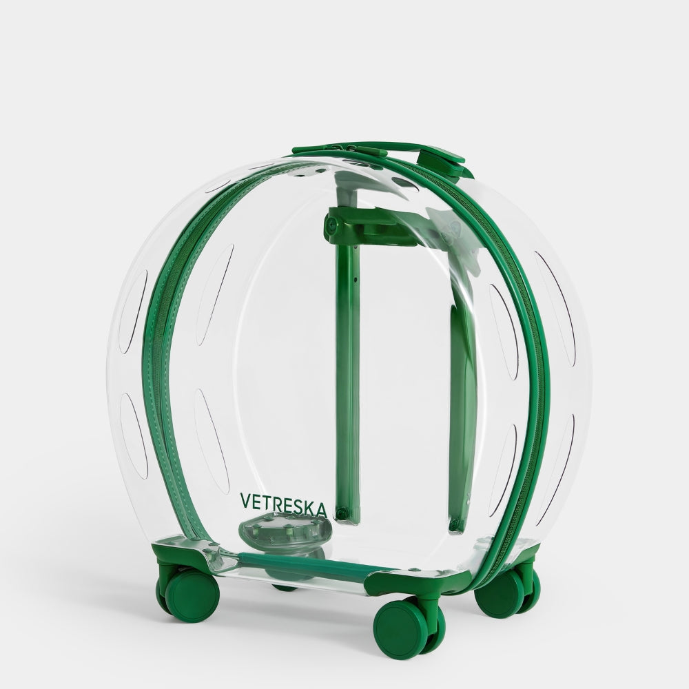 Bubble Pet Carrier (Green & Transparent)
