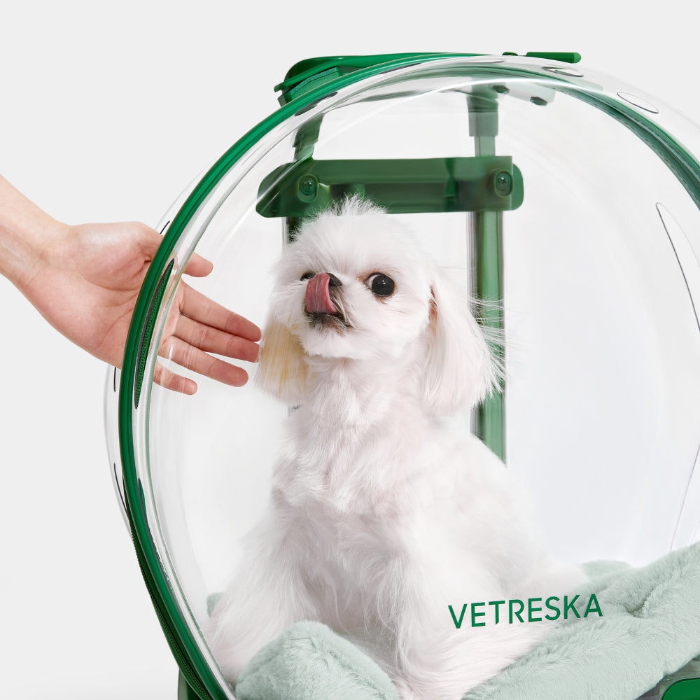 Bubble Pet Carrier (Green & Transparent)