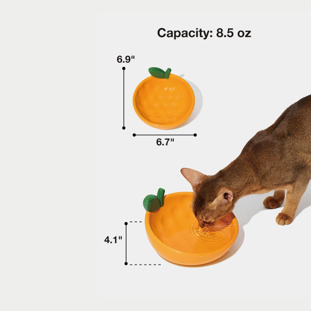 Tangerine Ceramic Pet Bowl
