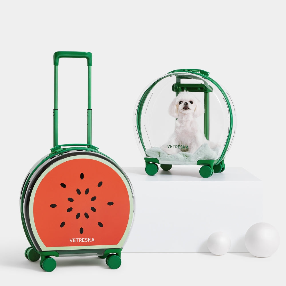 Bubble Pet Carrier (Green Color Block)