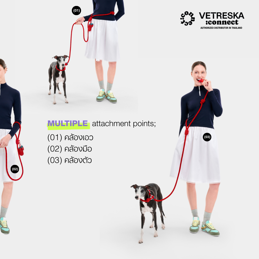 Connect Multifunction Hands-Free Rope Leash For Pets