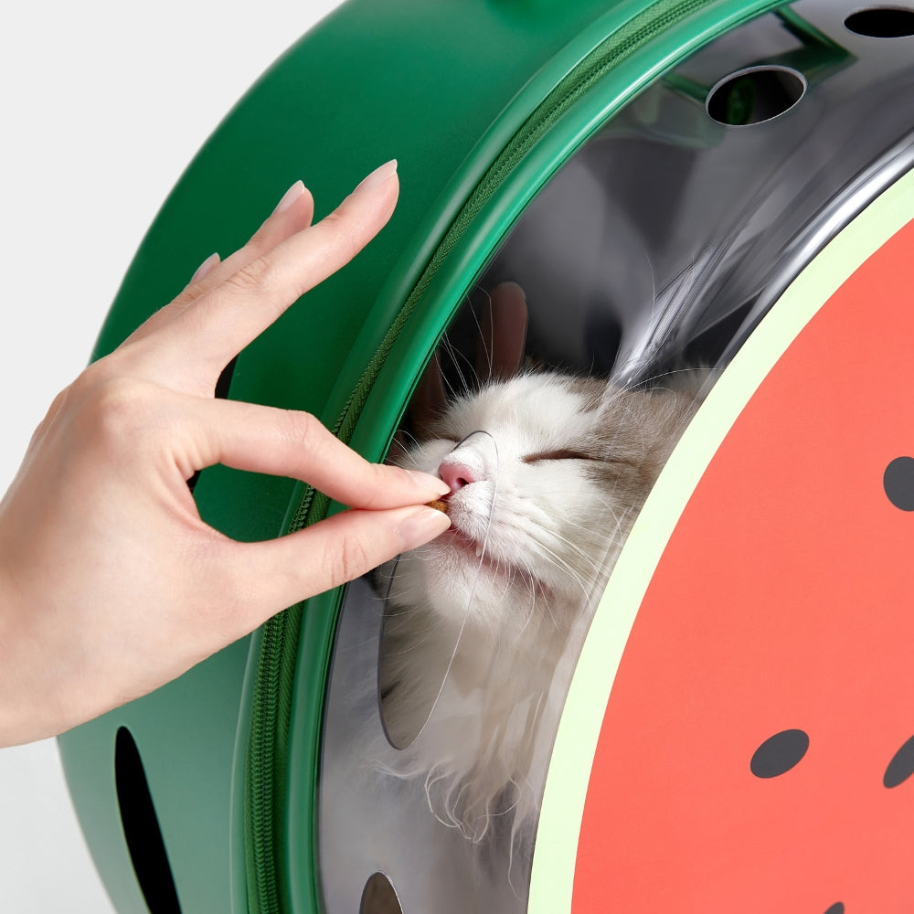 Bubble Pet Carrier (Green Color Block)