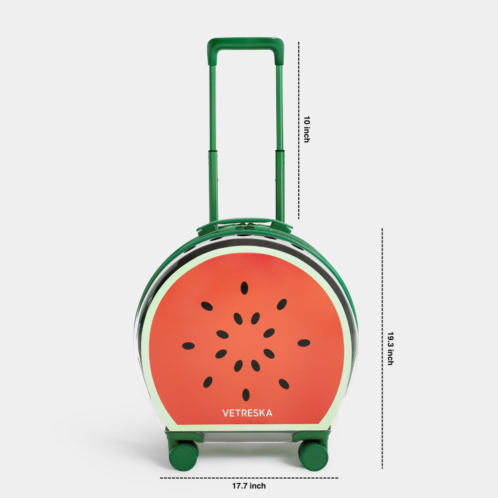 Bubble Pet Carrier (Green Color Block)