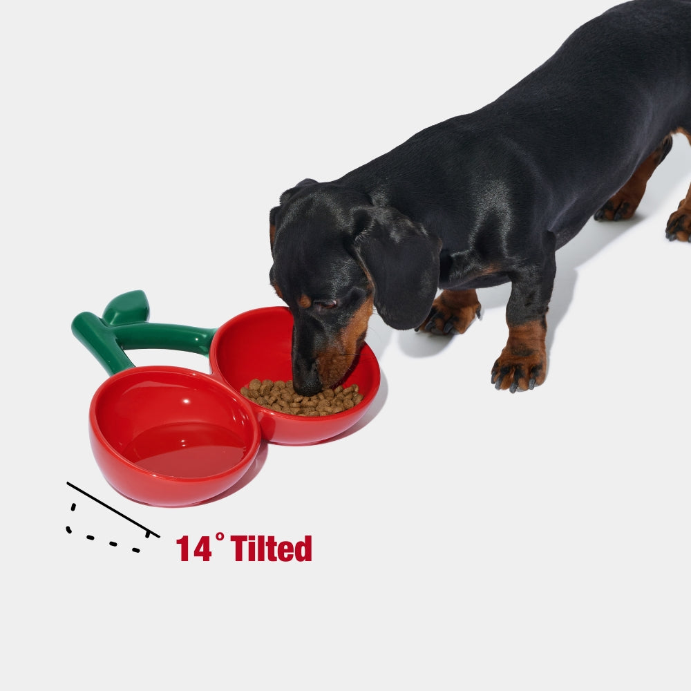 Cherry Ceramic Pet Bowl