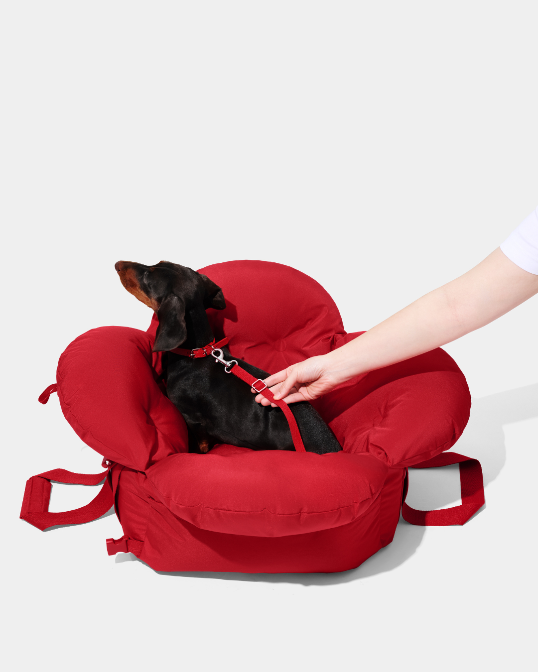Strawberry Car Seat Pet Carrier
