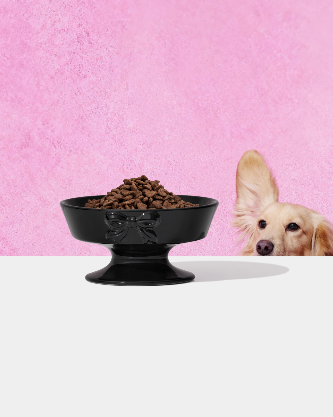 Bow de Noir Ceramic Pet Bowl