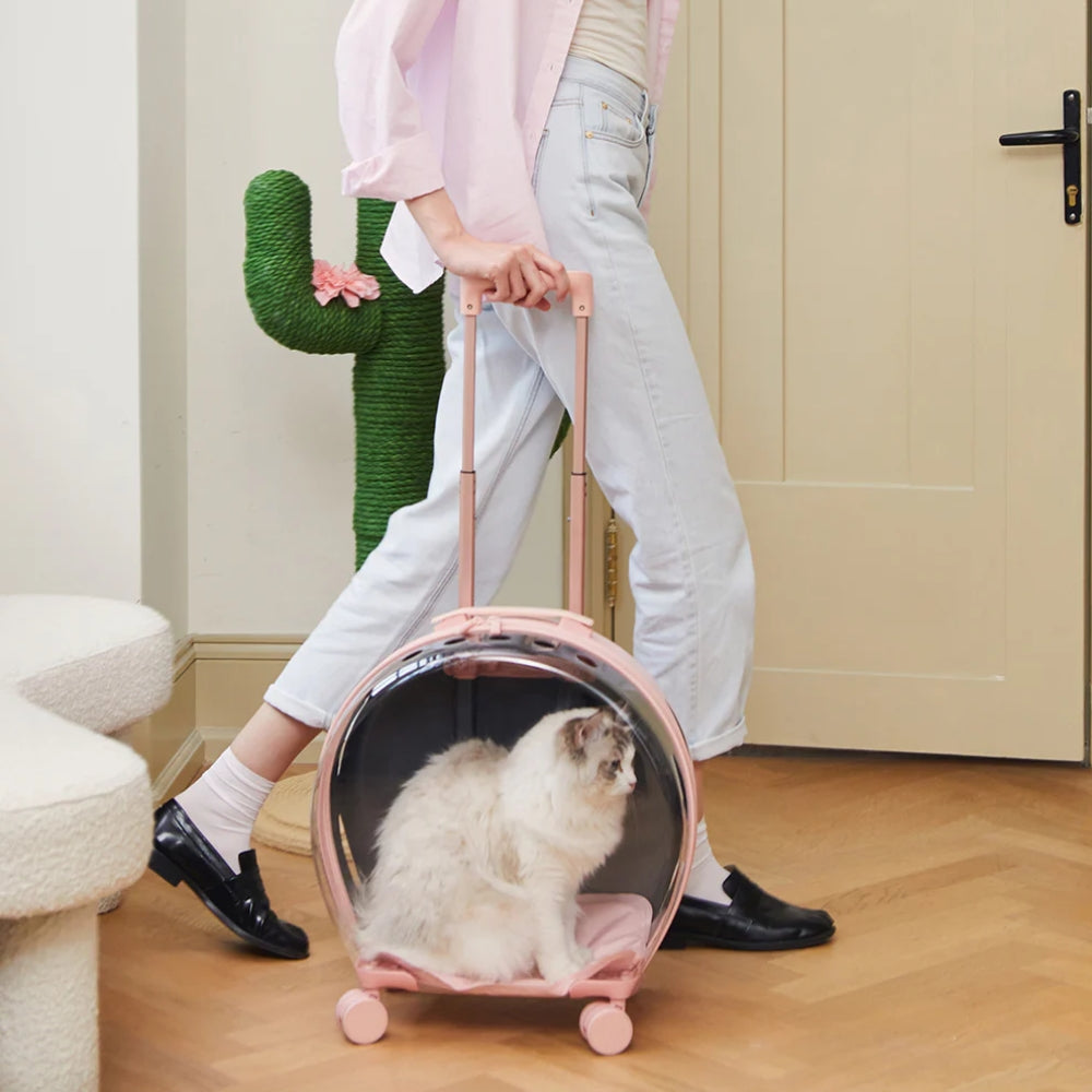 Bubble Pet Carrier (Pink & Transparent)