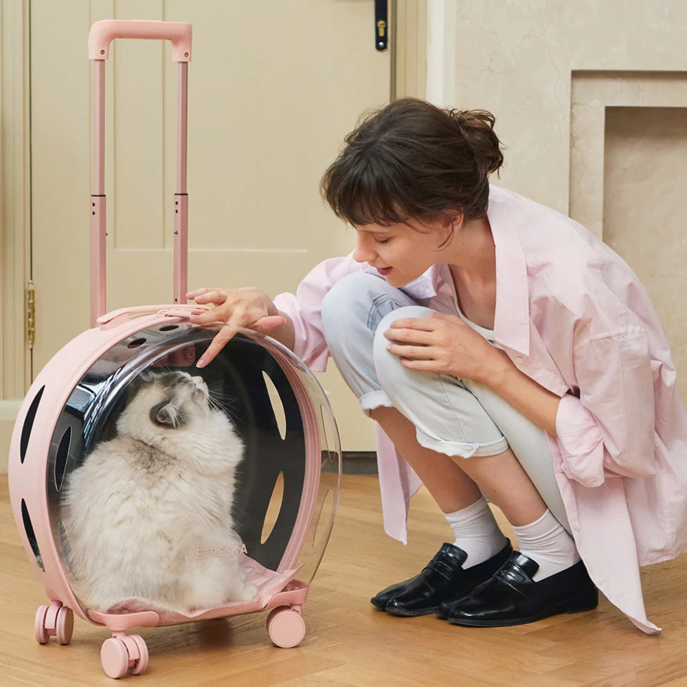 Bubble Pet Carrier (Pink & Transparent)