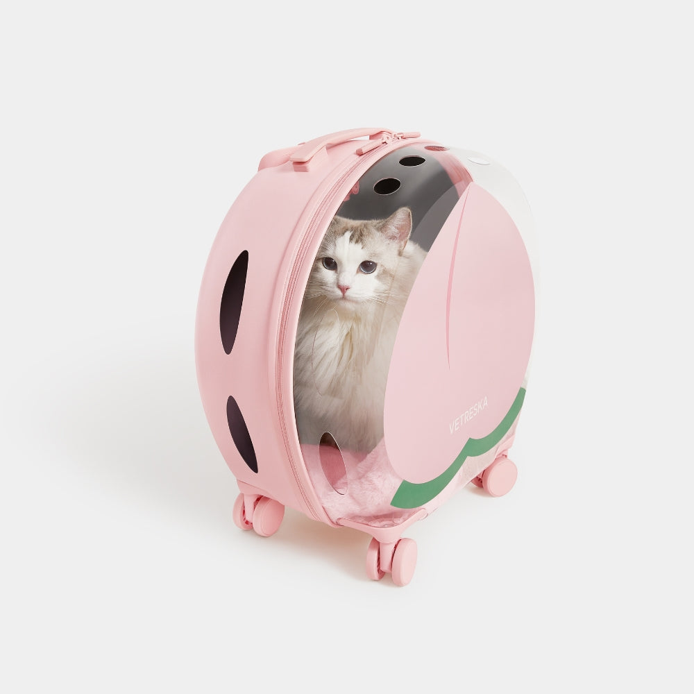 Bubble Pet Carrier (Pink Color Block)