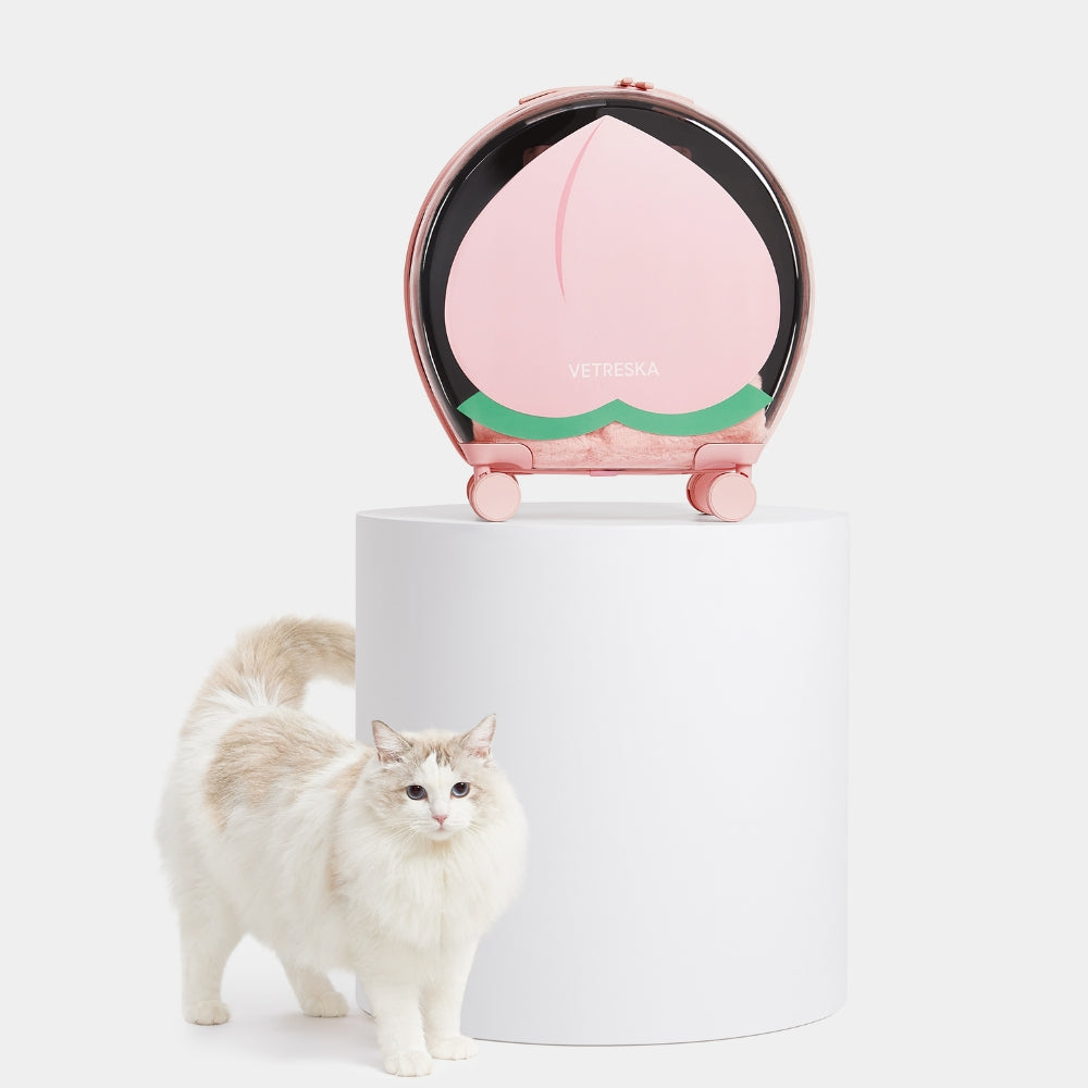 Bubble Pet Carrier (Pink Color Block)