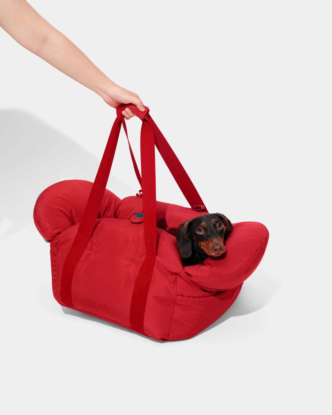Strawberry Car Seat Pet Carrier