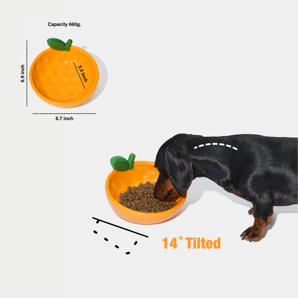 Tangerine Ceramic Pet Bowl