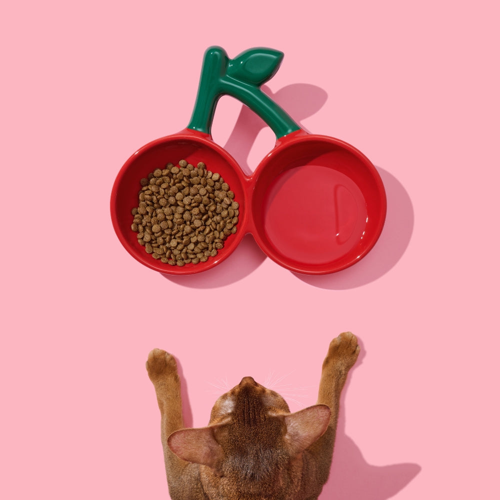 Cherry Ceramic Pet Bowl