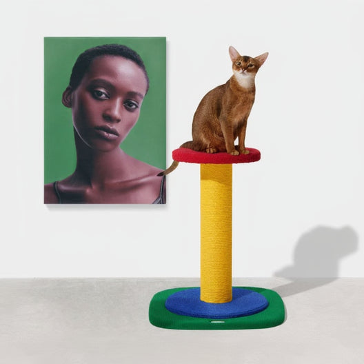 Chroma Cat Scratching Post