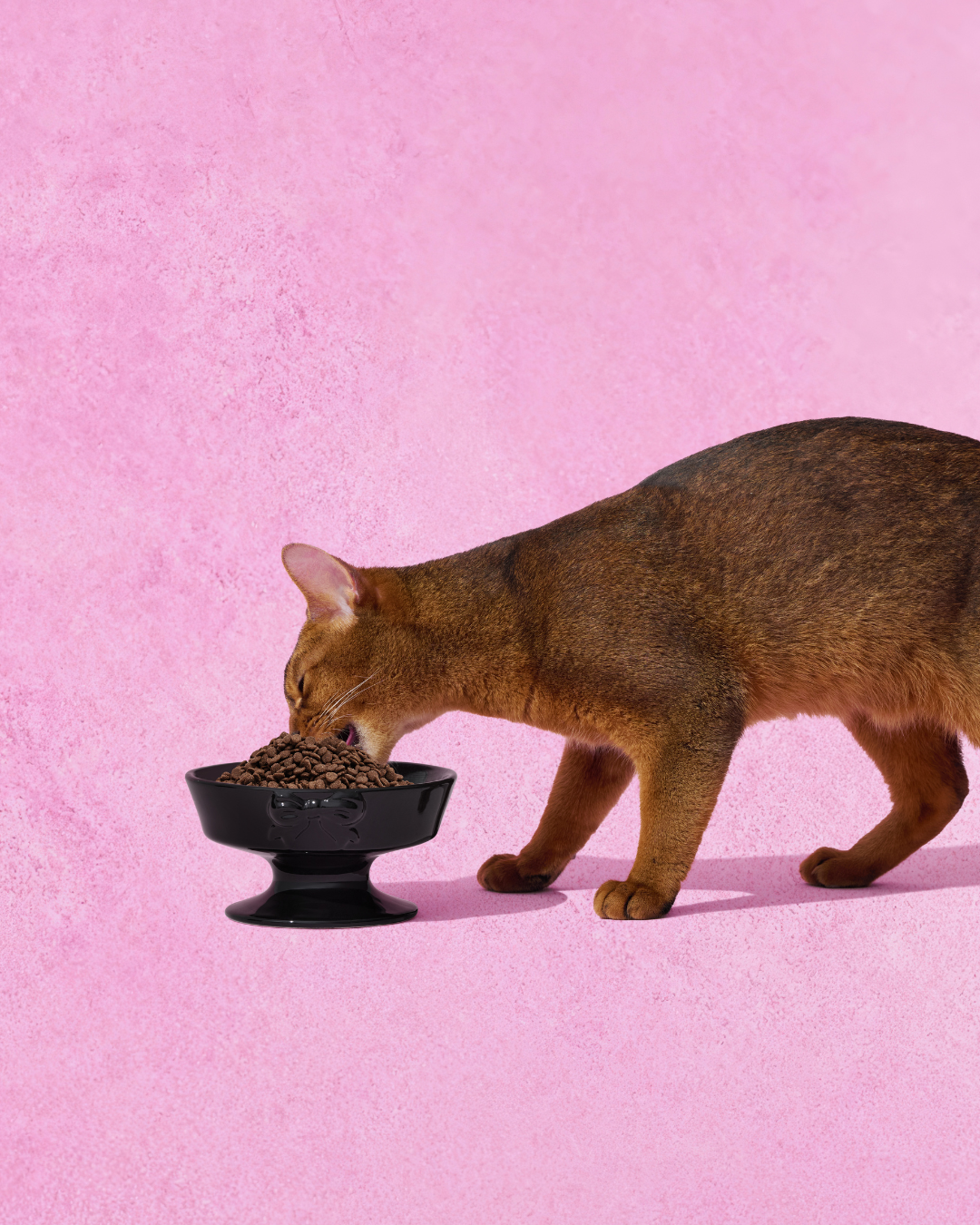 Bow de Noir Ceramic Pet Bowl