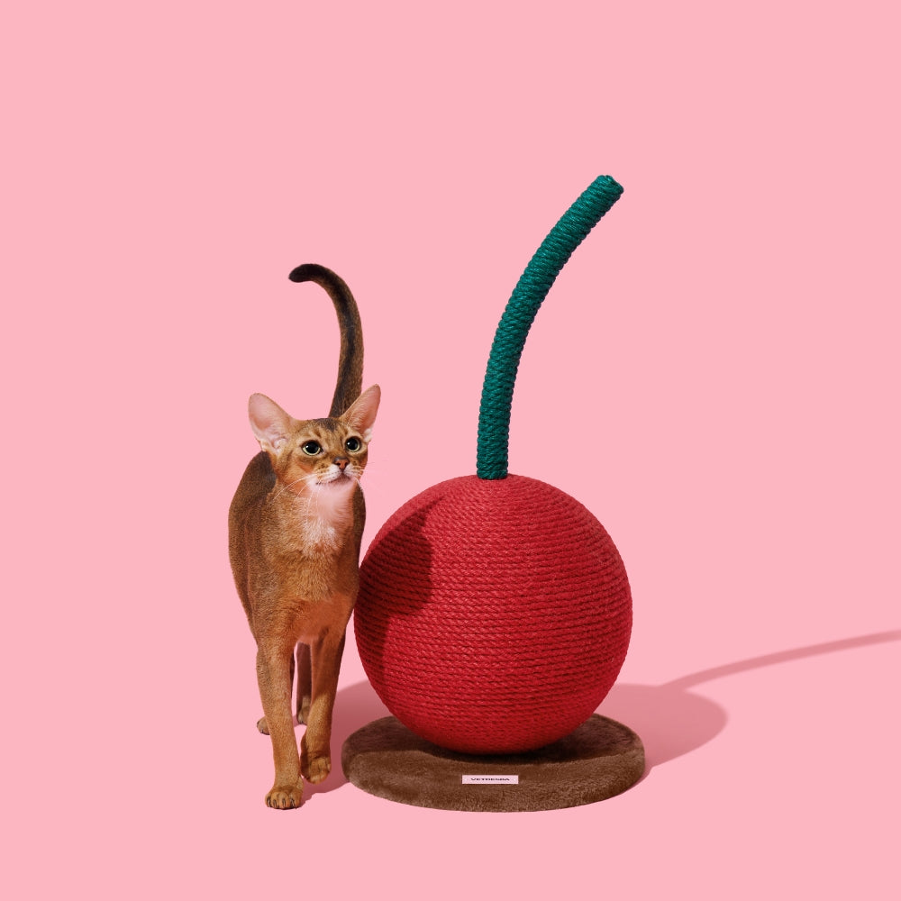 Cherry Cat Scratching Ball