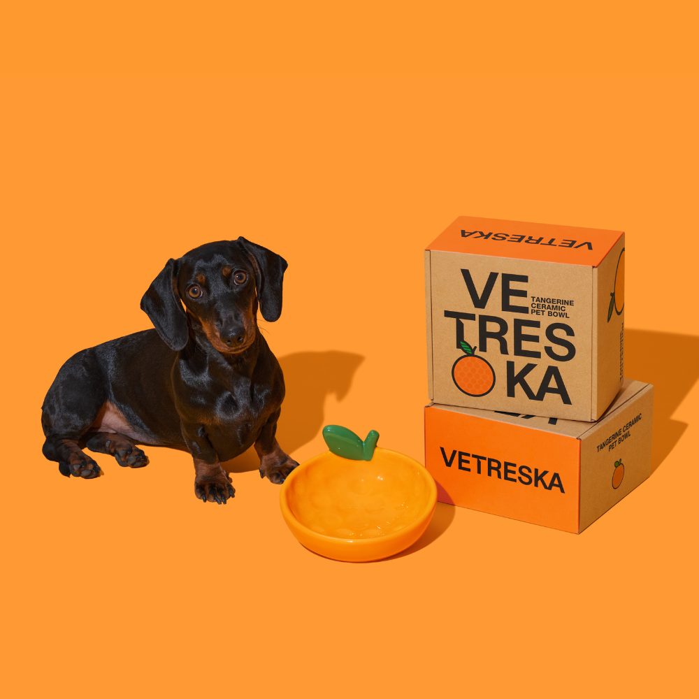 Tangerine Ceramic Pet Bowl