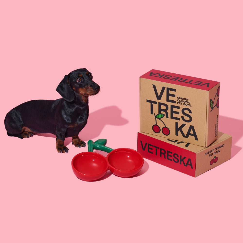 Cherry Ceramic Pet Bowl