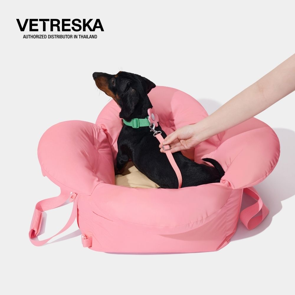 Flora Car Seat Pet Carrier