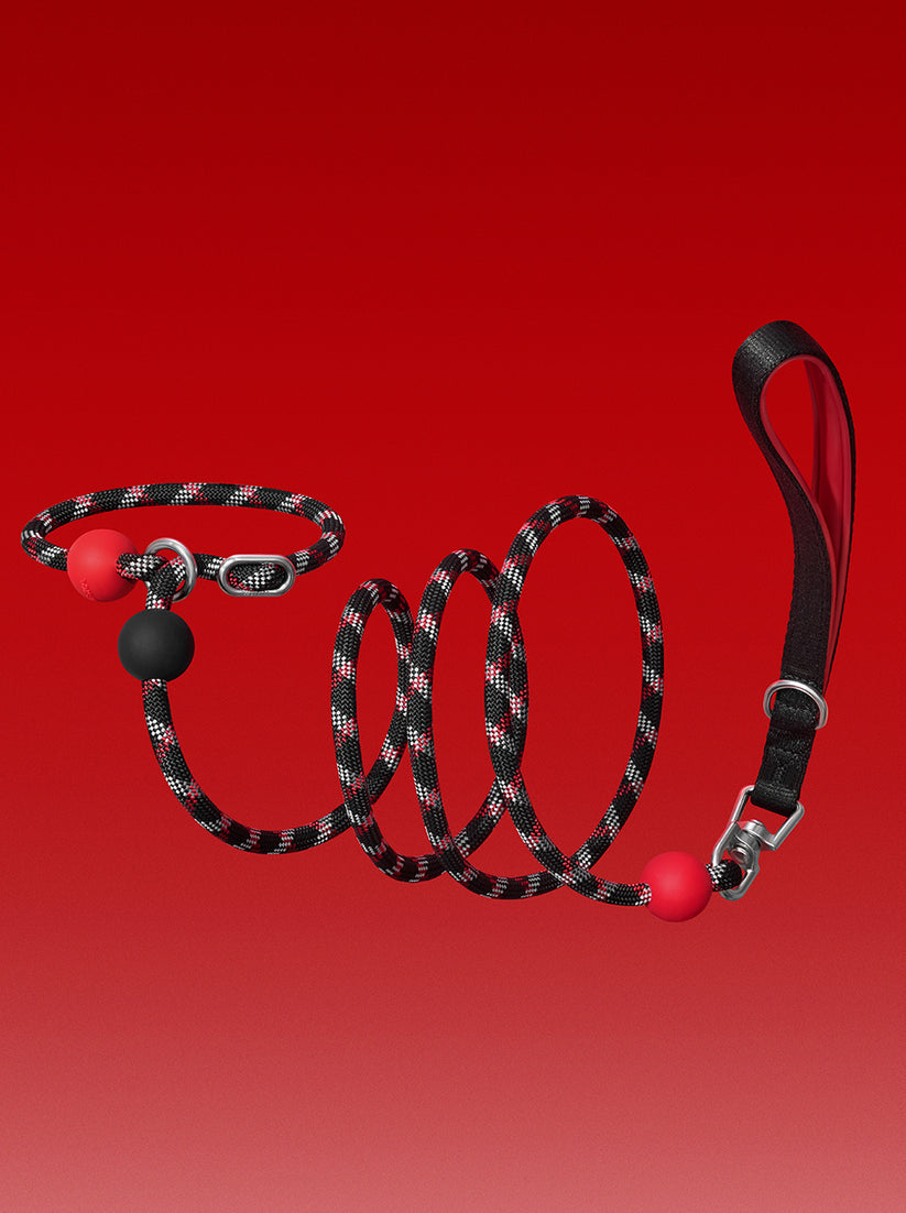 Ollie Bearman Circuit Collection - Connect Lite Rope Leash for Pets