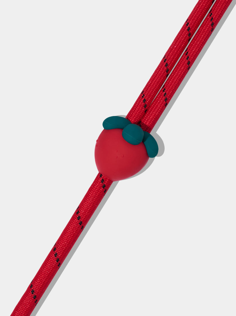 Connect (Premium) Classic Rope Leash for Pets