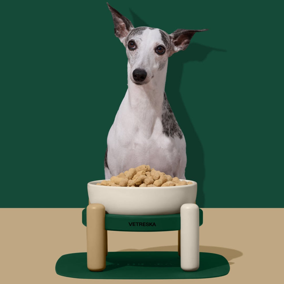 Santal Forest Ceramic Pet Bowl & Mat Set