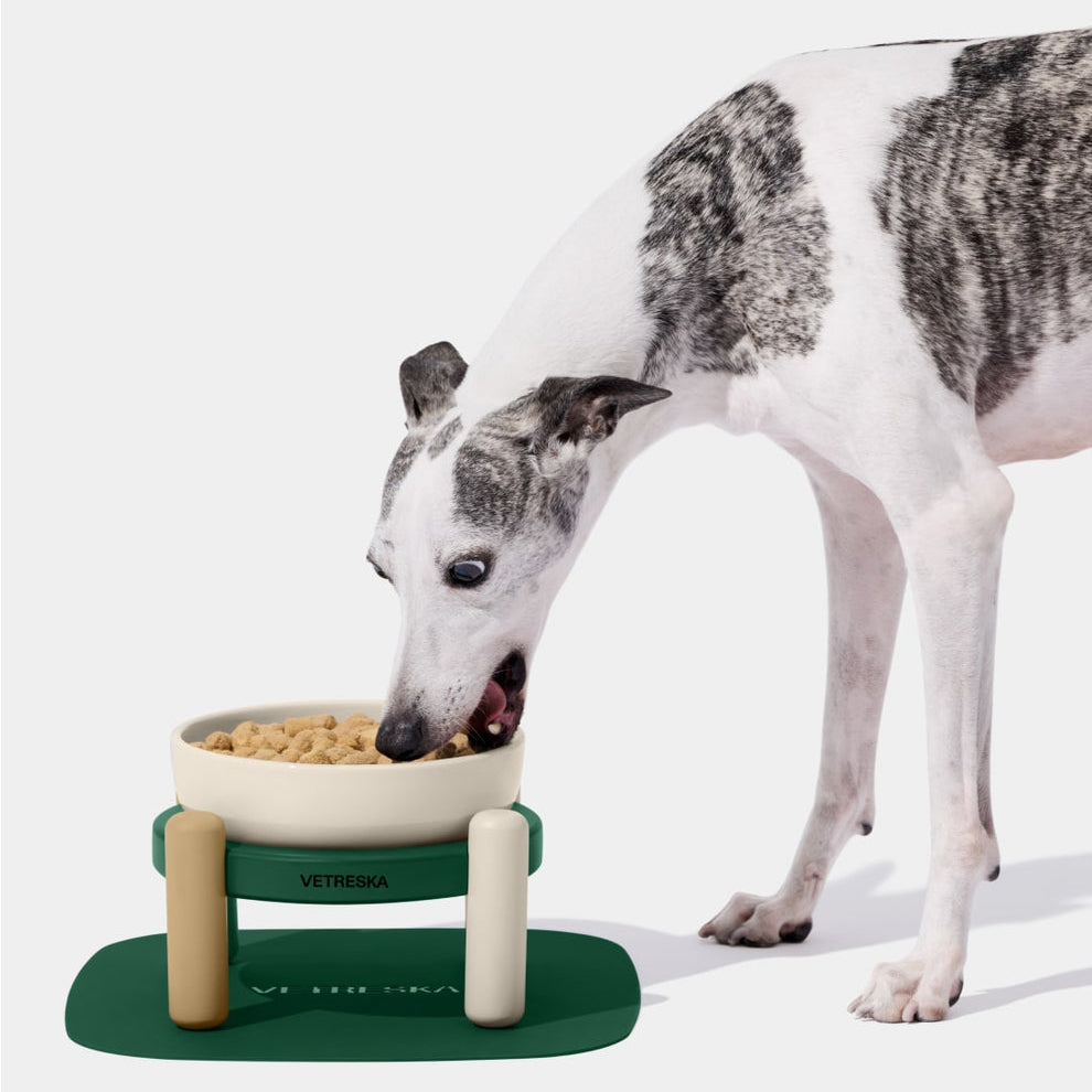 Santal Forest Ceramic Pet Bowl & Mat Set