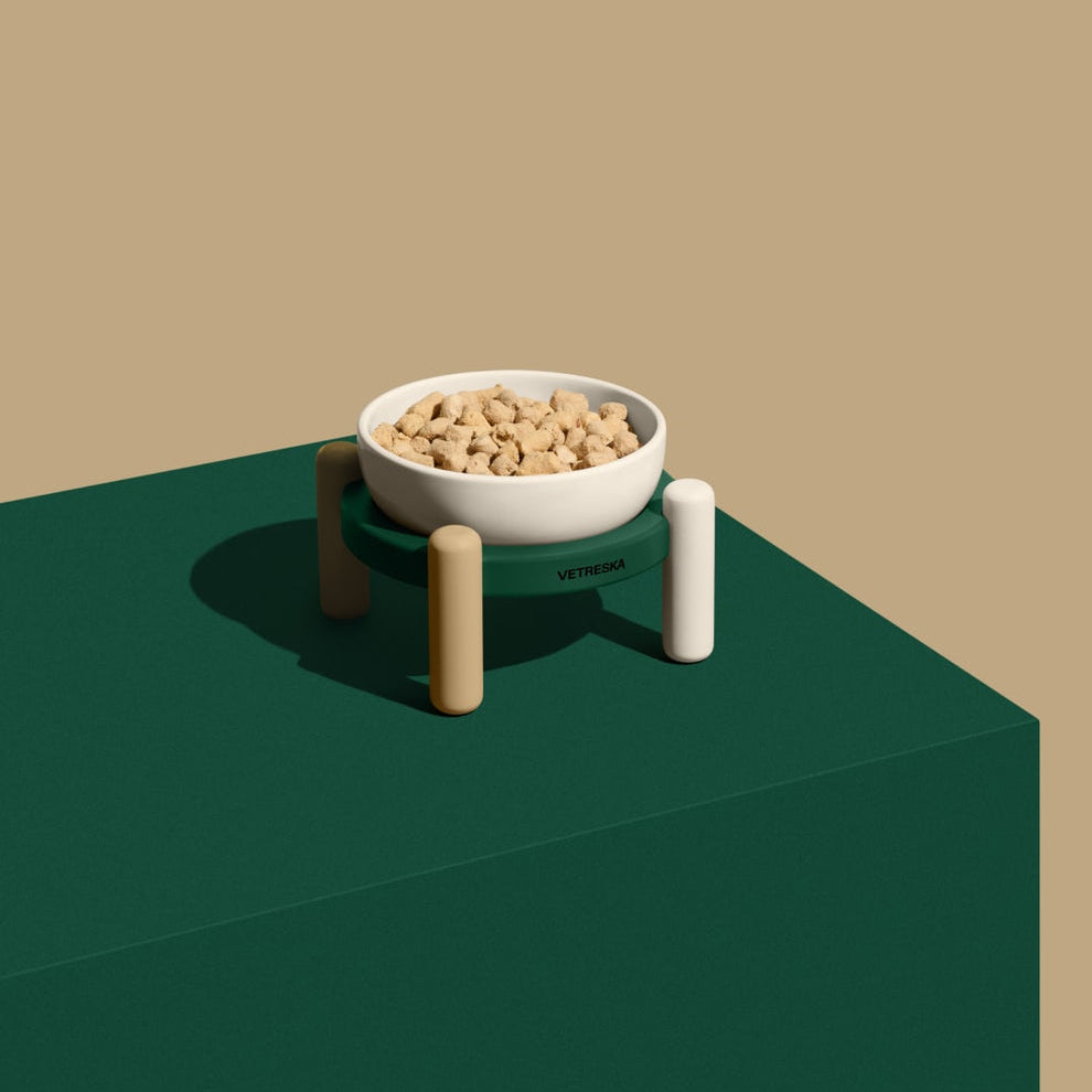 Santal Forest Ceramic Pet Bowl & Mat Set