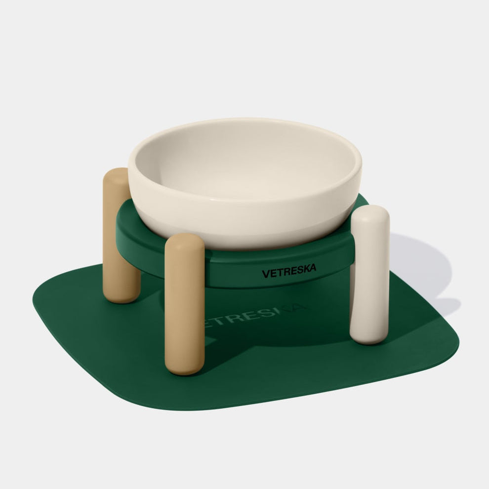 Santal Forest Ceramic Pet Bowl & Mat Set