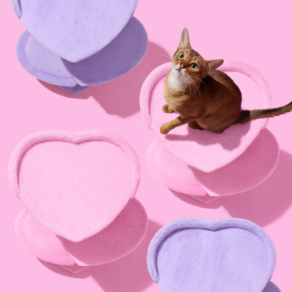 Heartpurrink Cat Climber (2 Platform)