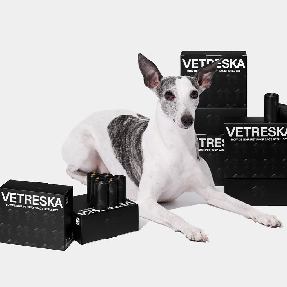 Bow De Noir Pet Poop Bags & Dispenser Set