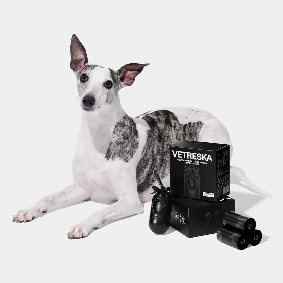 Bow De Noir Pet Poop Bags & Dispenser Set