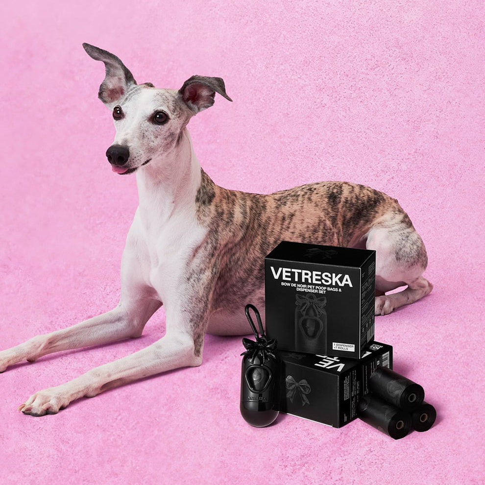 Bow De Noir Pet Poop Bags & Dispenser Set