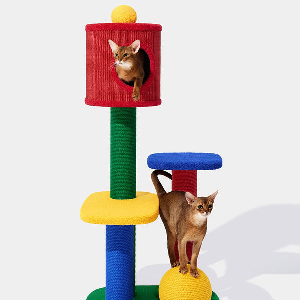 Chroma Cat Climber