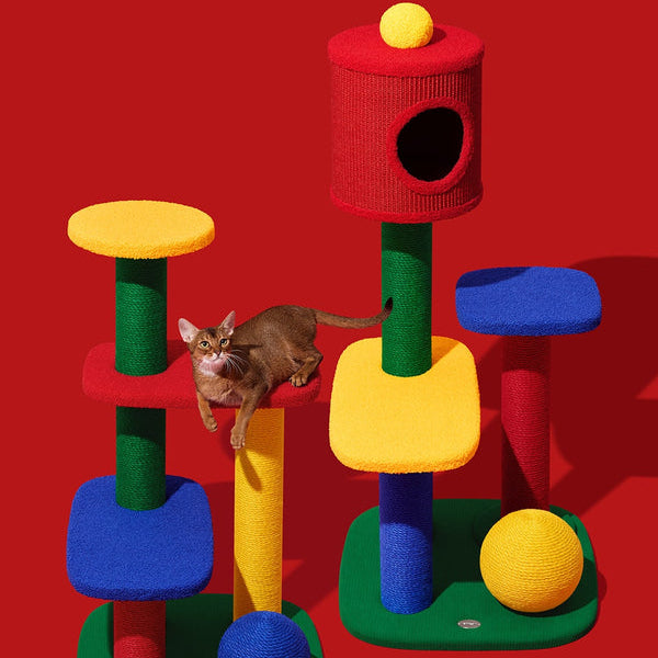 Chroma Cat Climber