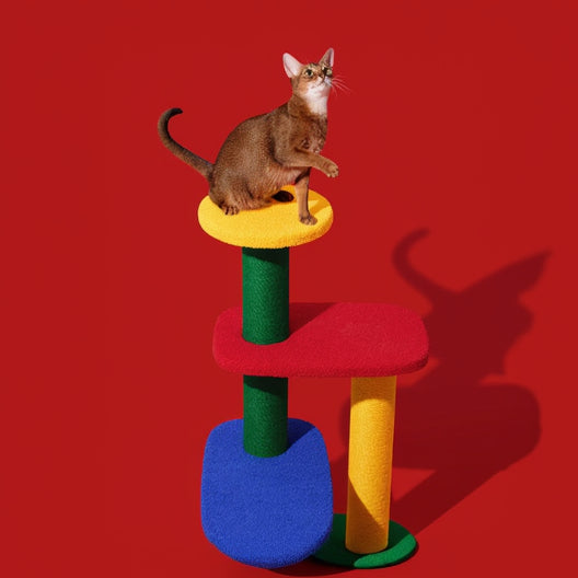 Chroma Cat Climber