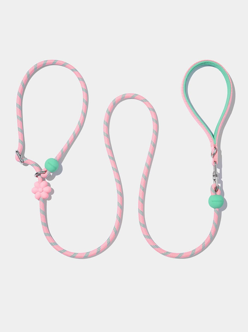 Connect Lite Rope Leash for Pets