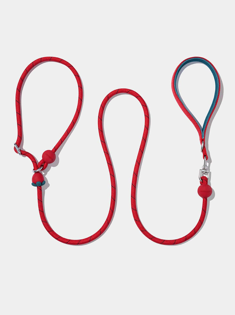 Connect Lite Rope Leash for Pets