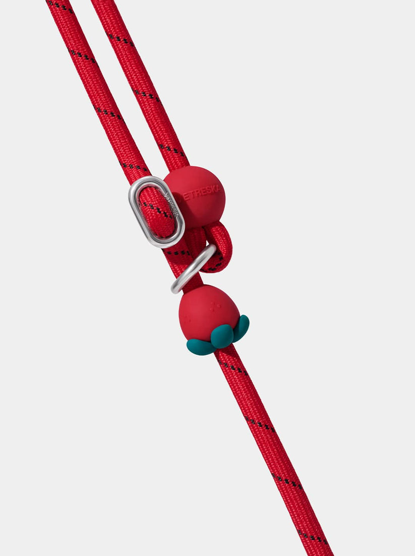 Connect Lite Rope Leash for Pets