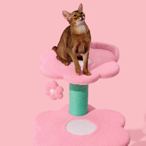 Flora Cat Climber (4 Platform)