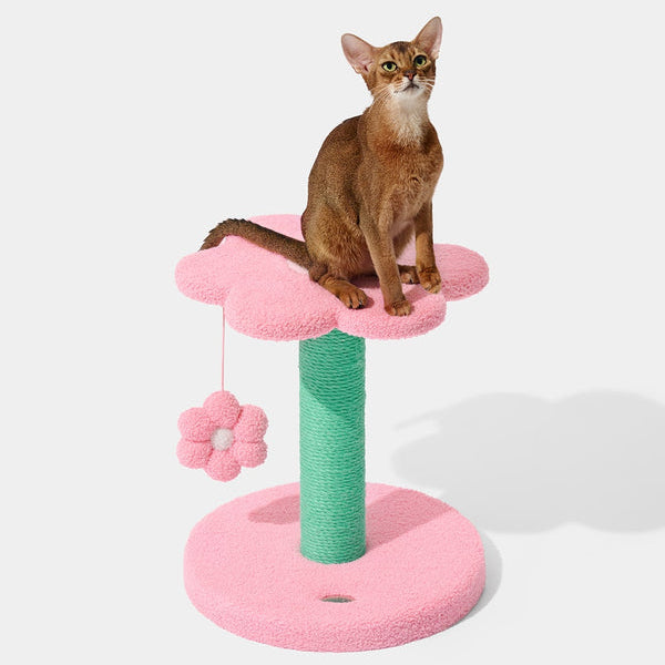 Flora Cat Climber (2 Platform)
