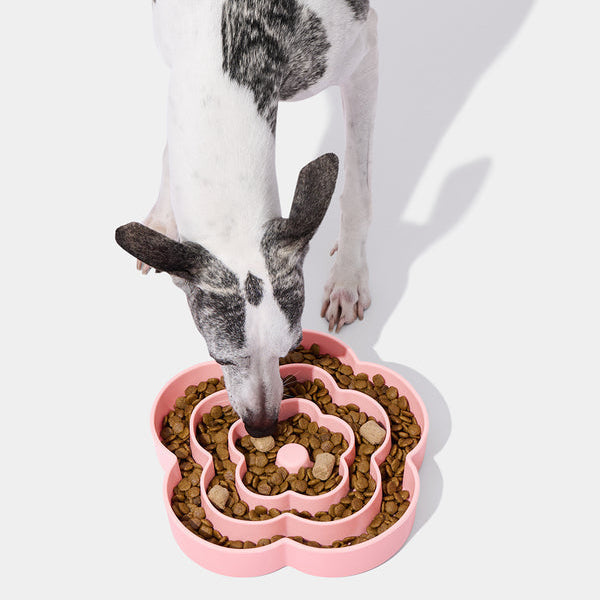 Flora Silicone Pet Slow Feeder