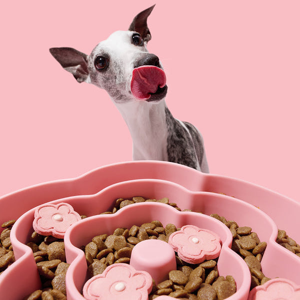 Flora Silicone Pet Slow Feeder