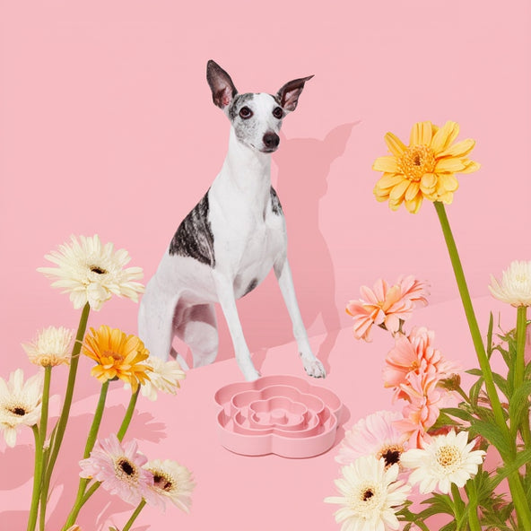 Flora Silicone Pet Slow Feeder