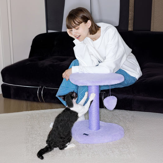 Heartpurrple Cat Climber (2 Platform)