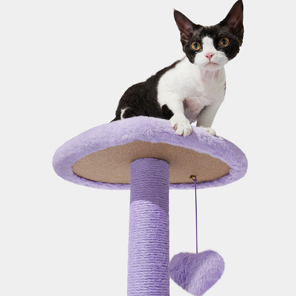 Heartpurrple Cat Climber (2 Platform)